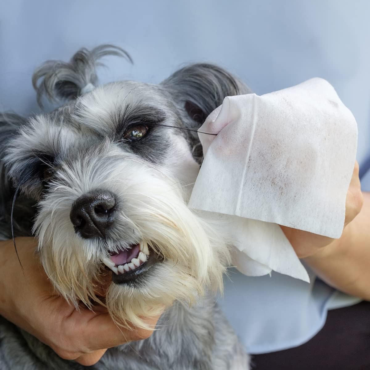 Salviette Igienizzanti Umide per Cani E Gatti. Salviette Cane Salviette Gatto. Confezione 40 Pezzi. Salviettine per Animali per Pelo, Zampe Muso Ed Occhi. Rispettano Cute E PH. Aroma Aloe Vera