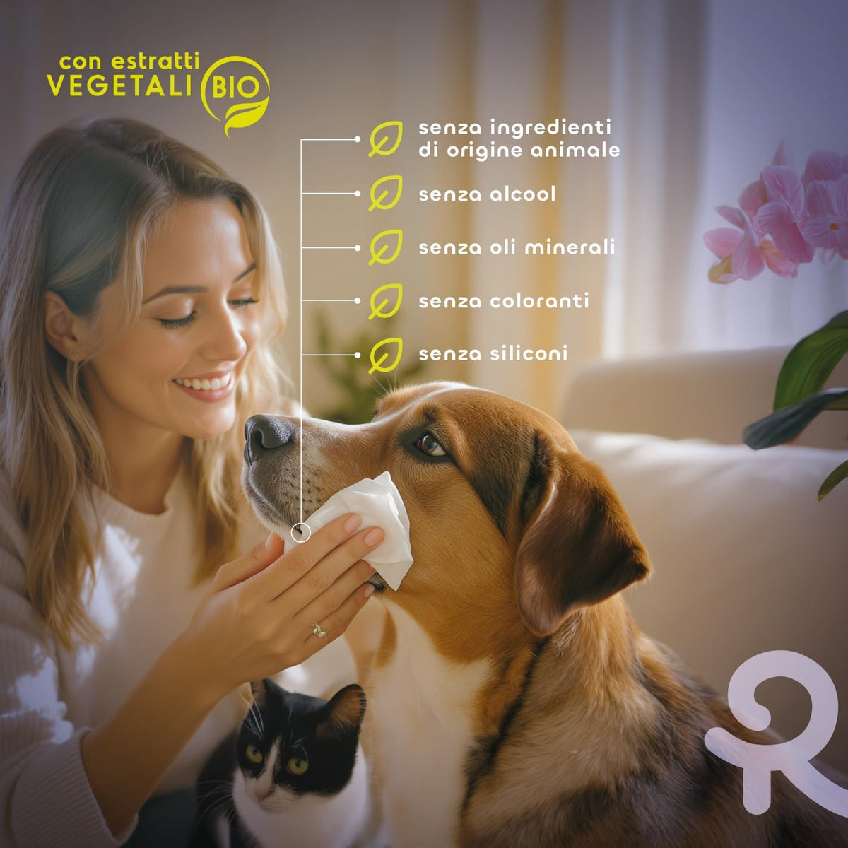 Salviette Igienizzanti Umide per Cani E Gatti. Salviette Cane Salviette Gatto. Confezione 40 Pezzi. Salviettine per Animali per Pelo, Zampe Muso Ed Occhi. Rispettano Cute E PH. Aroma Aloe Vera