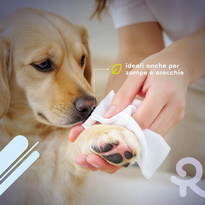 Salviette Igienizzanti Umide per Cani E Gatti. Salviette Cane Salviette Gatto. Confezione 40 Pezzi. Salviettine per Animali per Pelo, Zampe Muso Ed Occhi. Rispettano Cute E PH. Aroma Aloe Vera